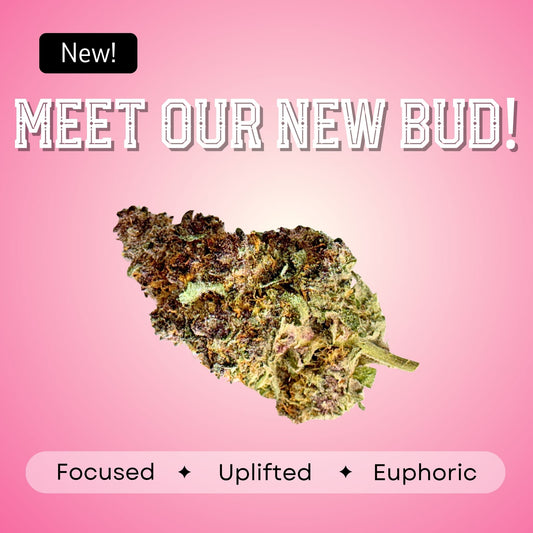 Tropicana Cherry - Sativa - 36%