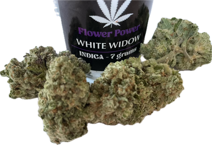 White Widow THCA Flower No Med Card Needed