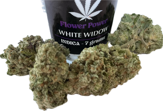 White Widow THCA Flower No Med Card Needed